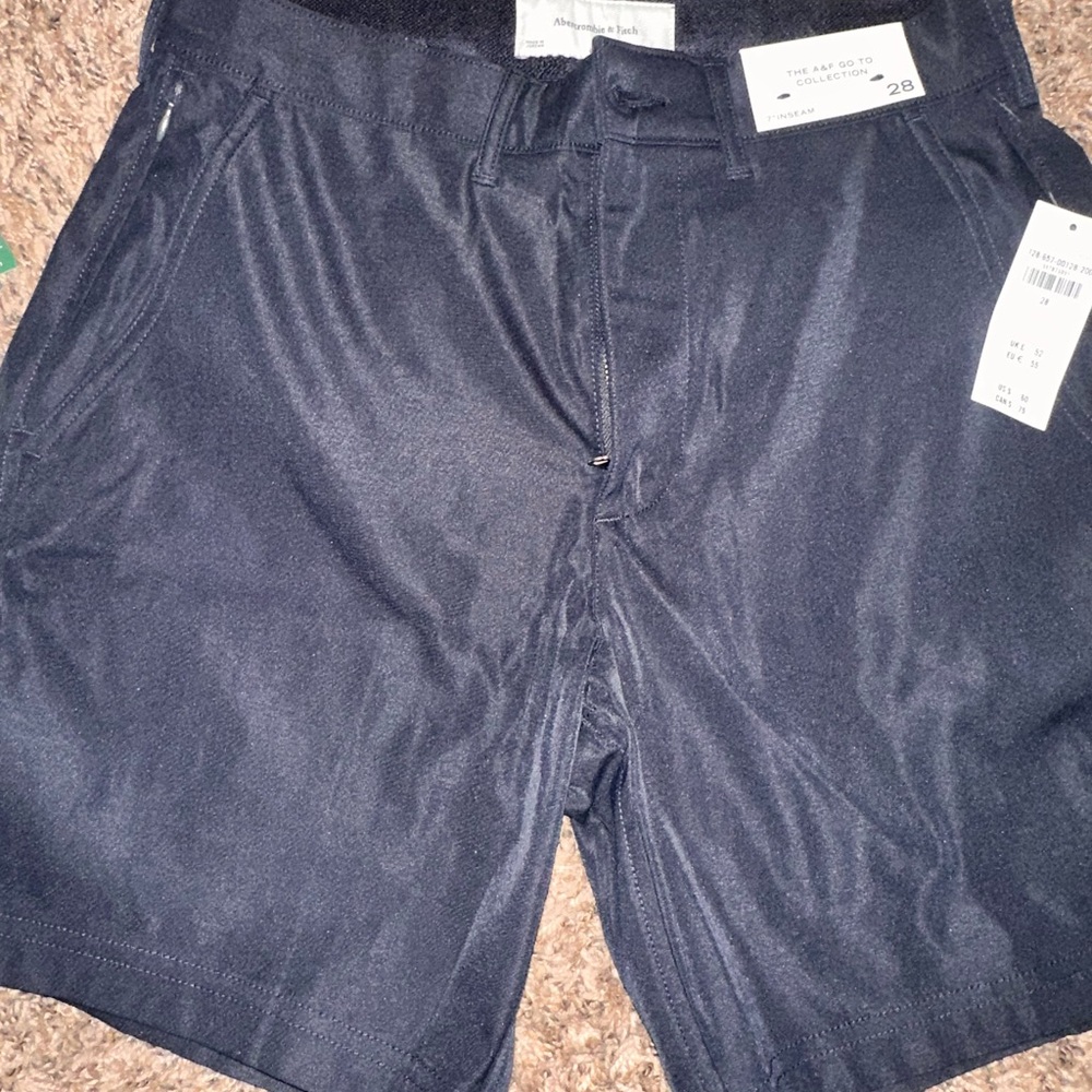 Abercrombie & Fitch Navy Flat Front Shorts